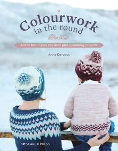 Colourwork in the Round van Anna Dervout kopen bij wolwinkel de afstap amsterdam en in onze webshop!